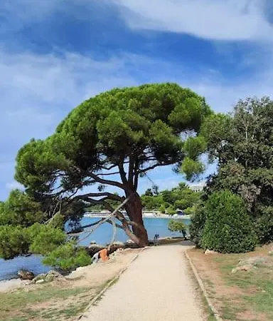 Nilema 아파트